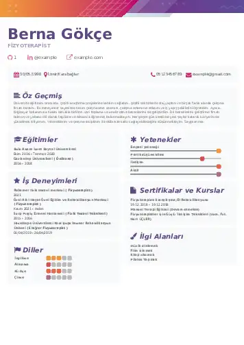 Fizyoterapist Cv Örnekleri cv indir